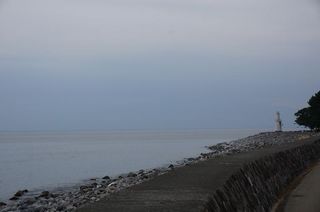 DSC01455-1.jpg