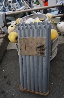DSC01467-1.jpg