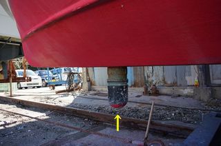 DSC01638-1.jpg