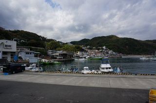DSC01651-1.jpg