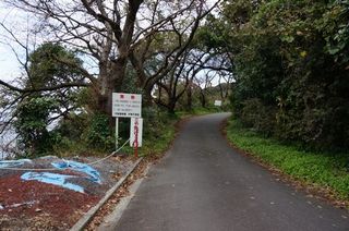 DSC01653-1.jpg