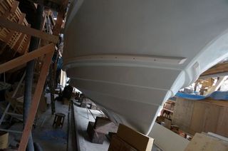 DSC01659-1.jpg