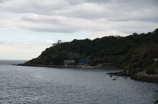 DSC01672-1.jpg