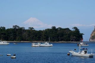 DSC01902-1.jpg