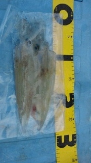 2011103020520001.jpg