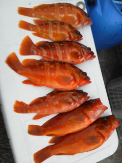 20111102162852.jpg